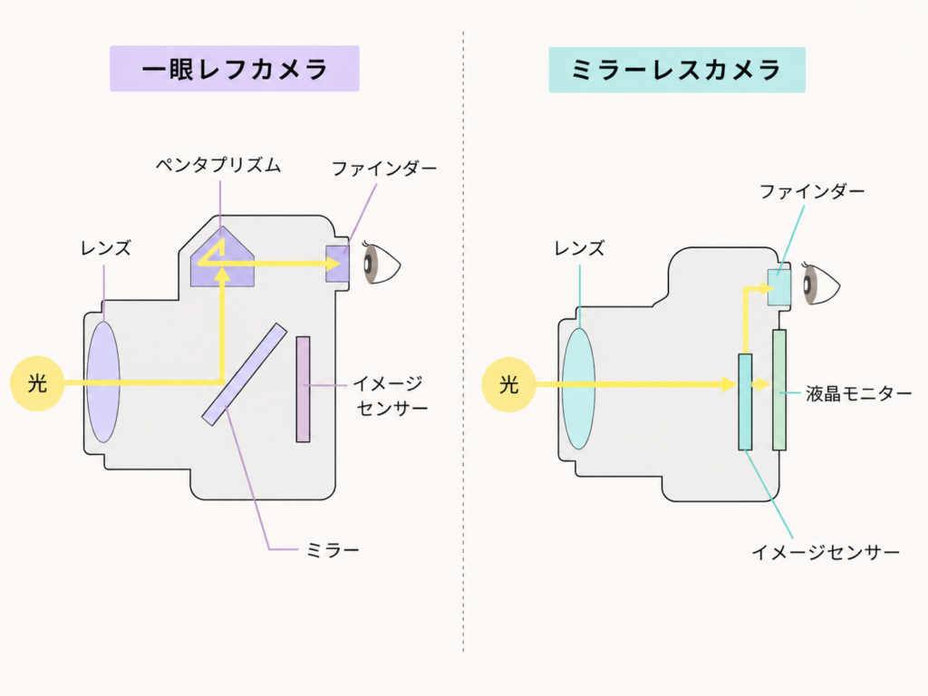 ミラーレスカメラと一眼レフカメラの違いを比較したイラスト